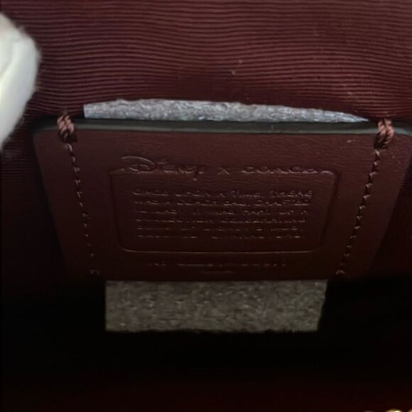 COACH DISNEY MOTIF CRUELLA DE VILLE BOX CROSSBODY COLLECTORS HANDBAG. NWT - Picture 16 of 16